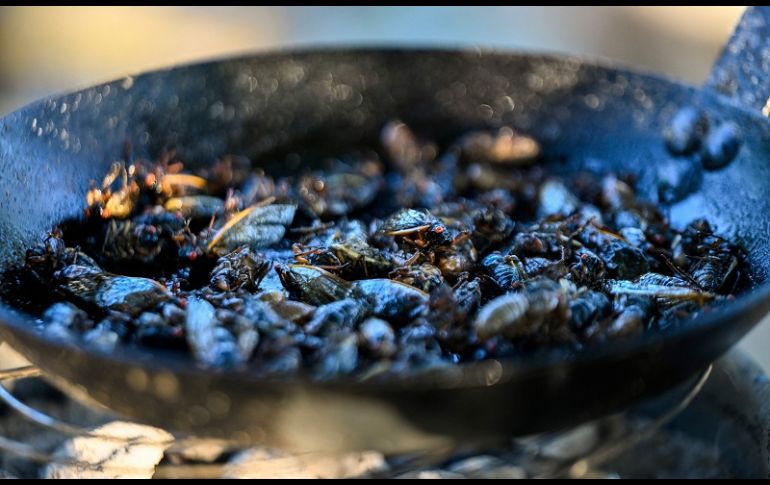 El chef estadounidense nacido en Hong Kong mostró cómo recolectar, cocinar y preparar cigarras como una forma de hablar sobre métodos alternativos de cultivo y alimentación. AFP/A. Caballero