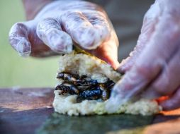 El chef estadounidense nacido en Hong Kong mostró cómo recolectar, cocinar y preparar cigarras como una forma de hablar sobre métodos alternativos de cultivo y alimentación. AFP/A. Caballero