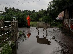CICLÓN. El fuerte ciclón Yaas afectó ya a más de 200 mil personas. EFE