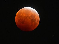 Vista de la superluna y el eclipse lunar desde Hidden Lakes Park in Martinez en California, Estados Unidos. AP/Bay Area News Group/J. Fajardo