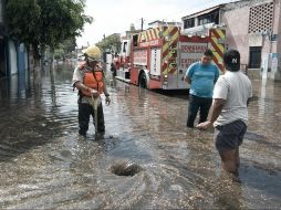 La lluvia de este temporal podrá favorecer los campos de distintas regiones de Jalisco, aseguran. ESPECIAL
