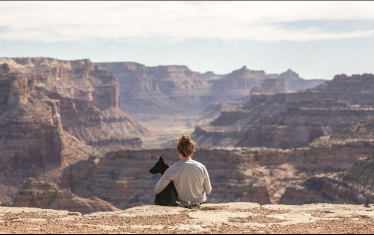 ESPECIAL / Photo by Patrick Hendry on Unsplash