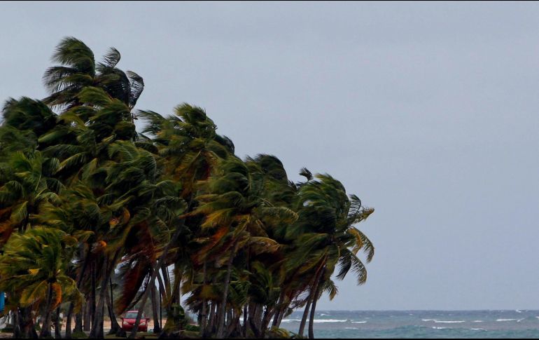 La Conagua pronosticó a mediados de mayo la formación de entre 14 y 20 sistemas con nombre en el océano Pacífico, mientras que para el Atlántico previó de 15 a 19 fenómenos. AFP / ARCHIVO
