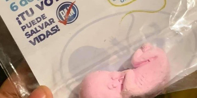 Elecciones 2021: Panista hace campa&ntilde;a antiaborto regalando &ldquo;fetos&rdquo;, se dice orgulloso