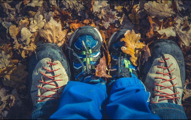 ESPECIAL/Photo by Markus Spisje on Unsplash.