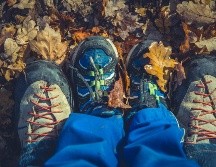 ESPECIAL/Photo by Markus Spisje on Unsplash.