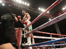 Después de su estrepitosa derrota contra Óscar Valdez en febrero pasado, Miguel ''Alacrán'' Berchelt no pierde el tiempo en lamentaciones. IMAGO7