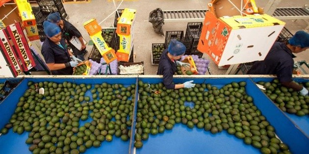 Recuperaci&oacute;n econ&oacute;mica de M&eacute;xico da se&ntilde;ales de fortalecimiento: Inegi