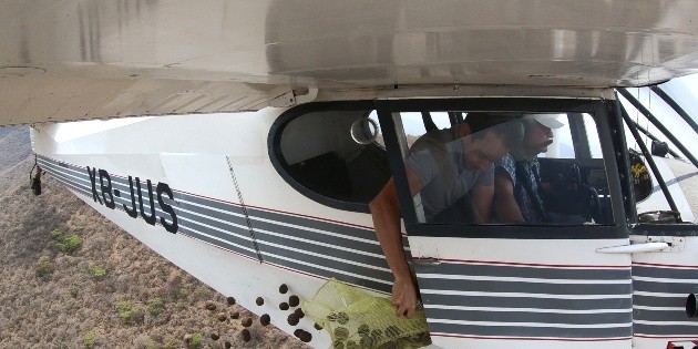 Lanzan "bombas de semillas" sobre bosques de Jalisco