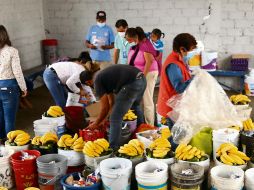 Ante la pandemia, incrementan los beneficiarios de Banco de Alimentos