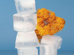 UNSPLASH/ VICTORIA WENDISH