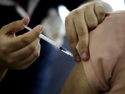 La aplicación de vacunas será de 08:00 a 16:00 horas o hasta agotar las dosis asignadas para ese día. EFE/ARCHIVO