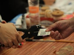 Los influencers realizaron videos en apoyo al Partido Verde desde ayer sábado. XINHUA / S. Quintero