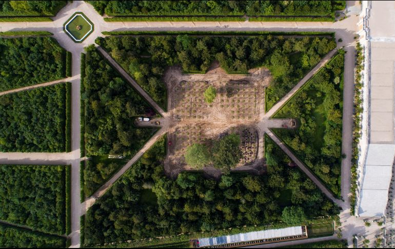 El bosque de Versalles. Con un hermoso verdor, durante su restauración. EFE/T. Garnier/Palacio de Versalles