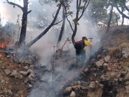 El incendio detectado a la altura de Colinas de la Primavera fue rápidamente sofocado por brigadistas. ESPECIAL