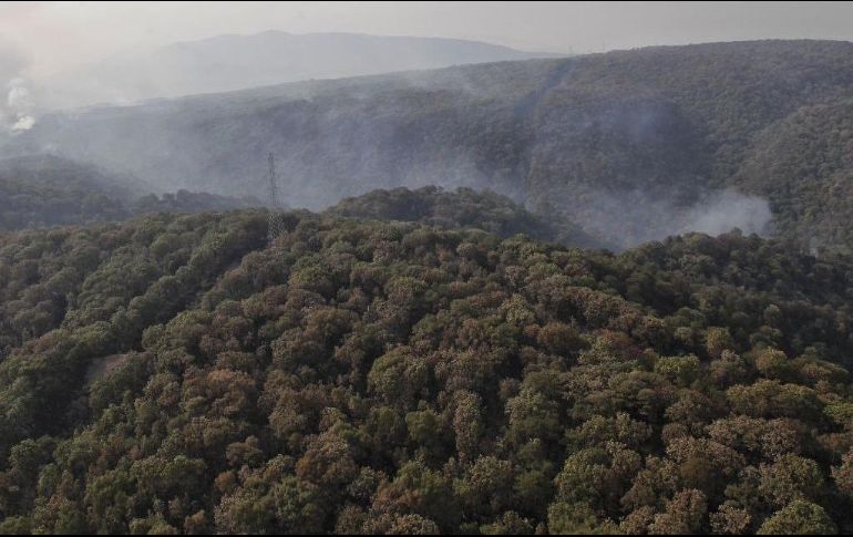 Buscan hacer una solicitud para que, en lugar de vender los predios, estos le sean cedidos al Gobierno Estatal. ESPECIAL