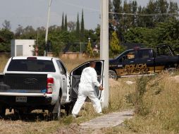 El lugar donde se encontraron los restos era usado al parecer como campo de entrenamiento de la delincuencia organizada. EFE / ARCHIVO