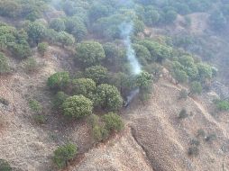 Un hombre fue detenido ayer en la zona del Colli, sorprendido en flagrancia al incendiar ese punto dentro del Bosque La Primavera. ESPECIAL/ARCHIVO