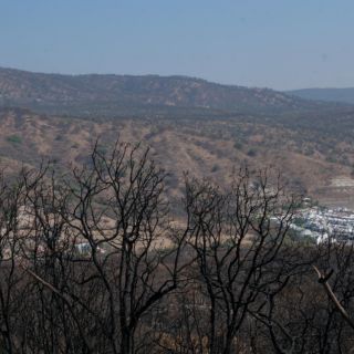 Pide Tlajomulco la cesión del terreno en La Primavera puesto en subasta por el Indep