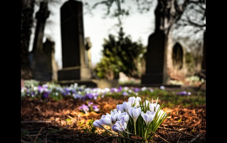 Una esquela comunicando el fallecimiento de una española comienza a volverse viral. ESPECIAL/PIXABAY