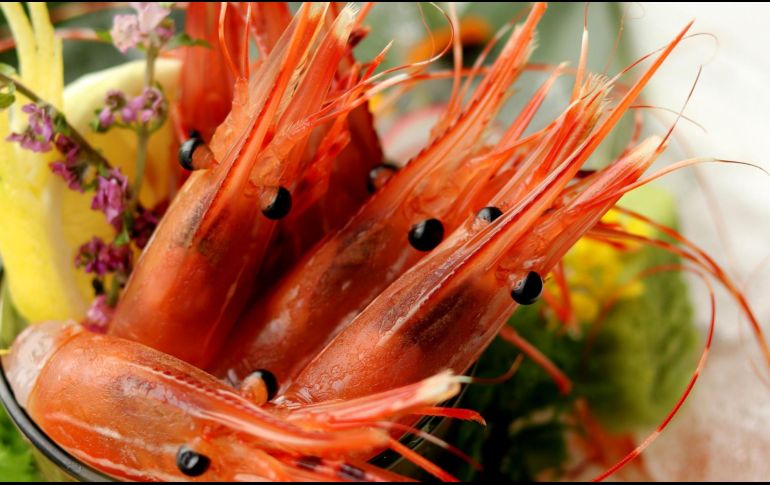 ESPECIAL/Photo by Cody Chan on Unsplash.