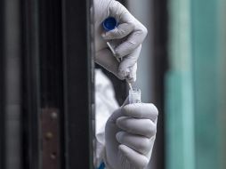 Las muestras de sangre participantes se encontraban fuera de los principales focos de Seattle y Nueva York. EFE/ARCHIVO