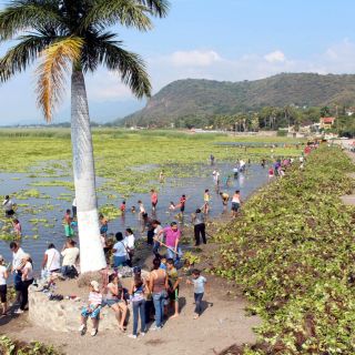 Universidad de Guadalajara: Casi un siglo en la defensa ambiental de Jalisco