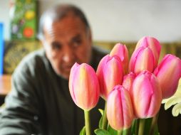 El gasto será menor si cada miembro de la familia aporta un platillo y si cada invitado absorbe en partes proporcionales el costo de la comida. NTX / ARCHIVO