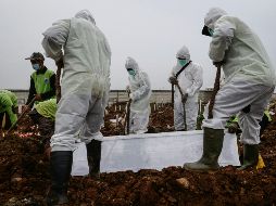 La OMS advierte que hay regiones donde los decesos siguen aumentando. EFE/M. Irhamt