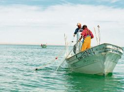 Pescadores en las costas de Puerto Peñasco, Sonora. EFE/H. Bustos