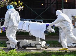 Guadalajara es el municipio con más muertes con 4 mil 675. AFP / ARCHIVO