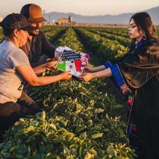 Viral: Joven hace sus fotografías de graduación en la siembra donde trabajan sus padres en EU