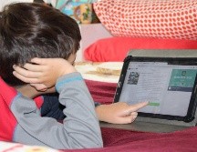 En Jalisco, 66.9% de las viviendas cuentan con servicio de internet. EFE /ARCHIVO