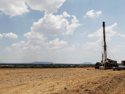 Siniestradas, más de 300 mil hectáreas de cultivos en el país