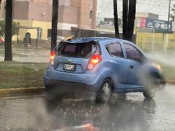 Tras caer, el árbol quedó bloqueando el carril de la extrema izquierda de la avenida Vallarta. ESPECIAL