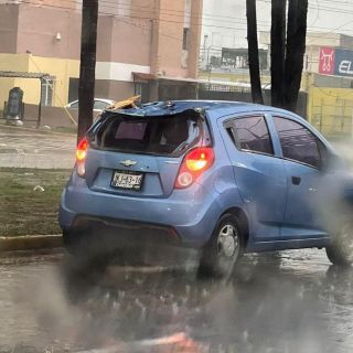Captan en video la caída de un árbol sobre un auto en Zapopan