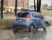 Tras caer, el árbol quedó bloqueando el carril de la extrema izquierda de la avenida Vallarta. ESPECIAL