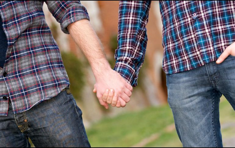 El Infonavit ha otorgando 21 mil 226 créditos, en beneficio de 10 mil 613 parejas, lo que generó una derrama económica superior a los siete mil 332 millones de pesos. NTX / ARCHIVO