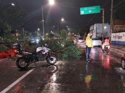 TWITTER/@JaliscoVial