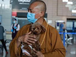 Para financiar la compra de 60 toneladas de comida para canes cada mes, gasta más de 12 millones de yuanes (260 mil euros, 310 mil dólares) al año. AFP