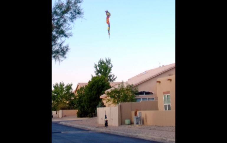 Más de 13 mil personas de la ciudad de Albuquerque están sufriendo cortes eléctricos en sus casas debido a este accidente. AP / A. Pierre-Louis