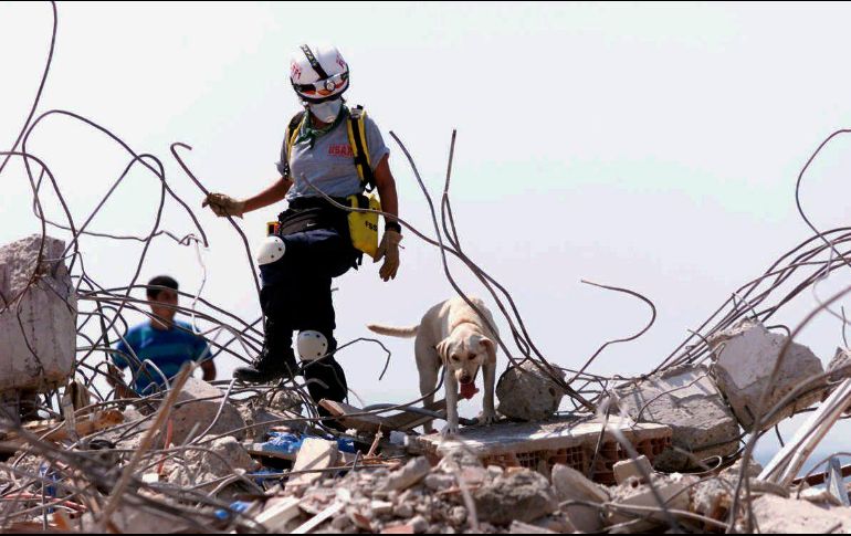 Cientos de rescatistas seguían tratando de encontrar sobrevivientes entre los escombros del edificio de 12 pisos; hasta el momento van 11 muertos. AP / P. Farrell
