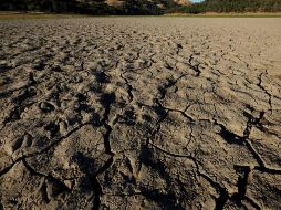 La aldea de Lytton, al noreste de Vancouver, el termómetro marcó 47.9 grados este lunes. EFE/J. Mabanglo