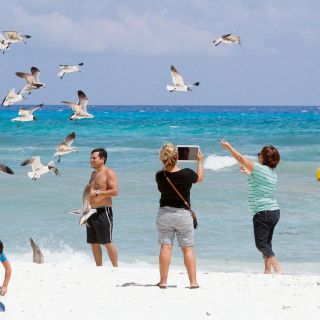 Mayo registra llegada histórica de turistas de EU