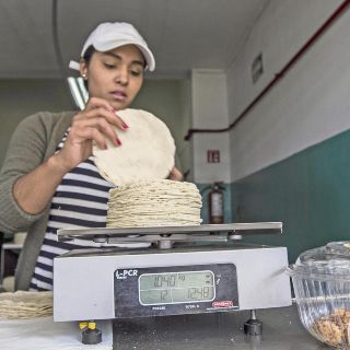 Estudia AMLO abrir importación de maíz para bajar precio de la tortilla