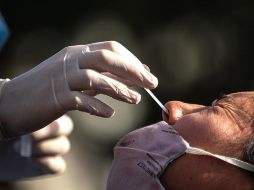 Brasil es el segundo país del mundo con más víctimas fatales por COVID-19. EFE/ARCHIVO