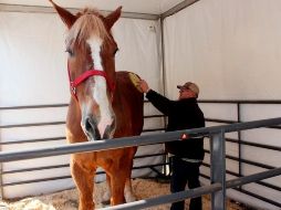 El libro Guinness de récords mundiales certificó a 