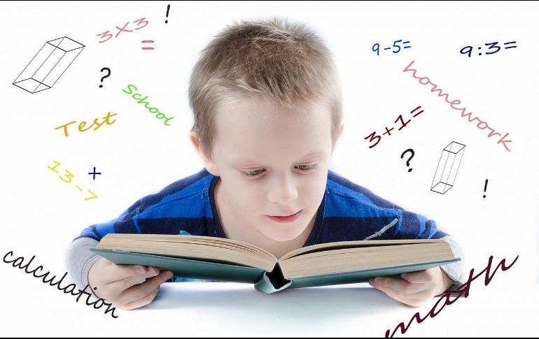 NIÑO GENIO. El joven belga culminó la escuela secundaria en tan solo 18 meses. PIXABAY