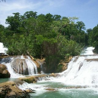 Chiapas: Muere turista portuguesa tras caer en las cascadas de Agua Azul