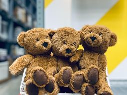 Cocaína es empaquetada en peluches u otros objetos, los cuales ingresan a la CDMX y son resguardados en diferentes inmuebles en las alcaldías Cuauhtémoc y Venustiano Carranza.  ESPECIAL / Photo by Chris Nagahama on Unsplash